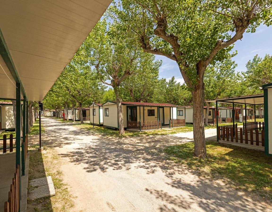 Campsite Camping Classe